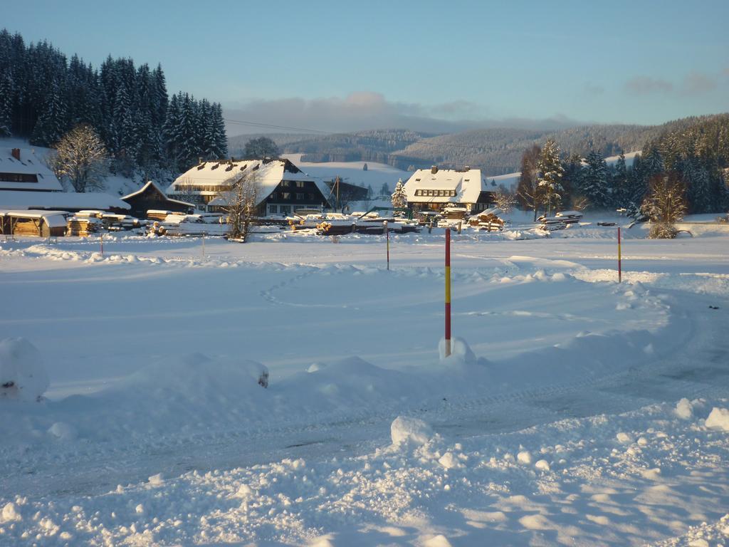 Hotel Zum Loewen - Unteres Wirtshaus Titisee-Neustadt Exterior foto