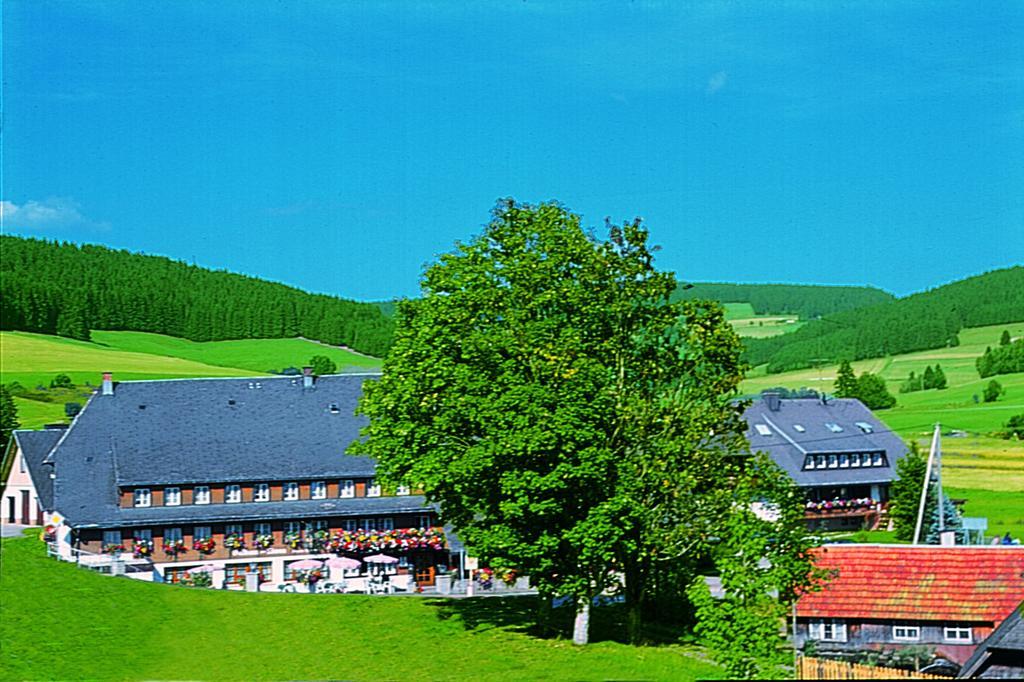 Hotel Zum Loewen - Unteres Wirtshaus Titisee-Neustadt Exterior foto